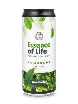 Kombucha Original 0,33l Aktuální